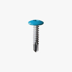 Screw with a blue head on a white background