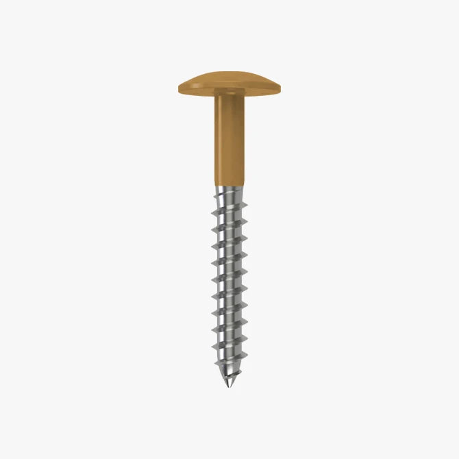 4.8 x 25 x 12mm Low Profile Wood Screw Stainless Steel A2 - RAL 1011 Brown Beige