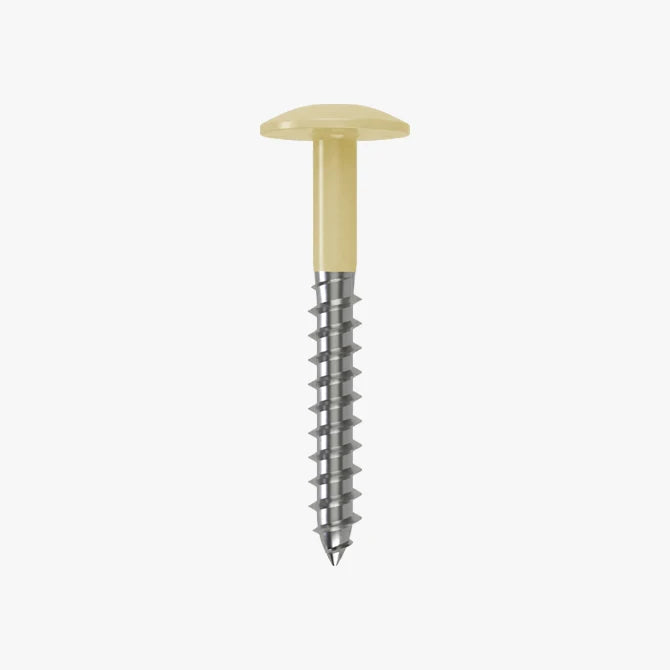 4.8 x 25 x 12mm Low Profile Wood Screw Stainless Steel A2 - RAL 1014 Ivory