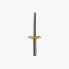 A4 Stainless Steel Dome Head Large Flange Rivet - 4.8 x 22 x 16 - 100 Pack
