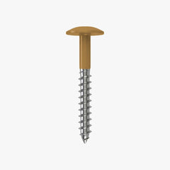 4.8 x 25 x 12mm Low Profile Wood Screw Stainless Steel A2 - RAL 1011 Brown Beige