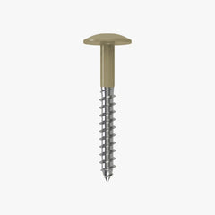 4.8 x 25 x 12mm Low Profile Wood Screw Stainless Steel A2 - RAL 1019 Grey Beige