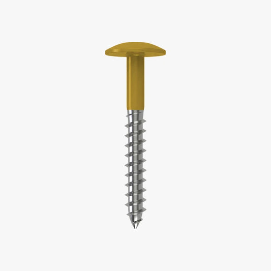 4.8 x 25 x 12mm Low Profile Wood Screw Stainless Steel A2 - RAL 1024 Ochre Yellow